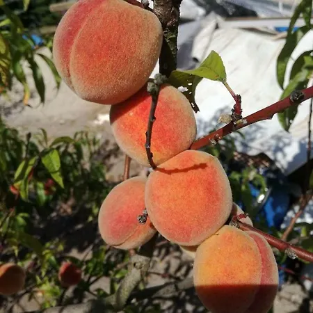 بيت للعطل Slonecznydom