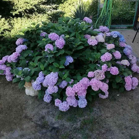 بيت للعطل Slonecznydom