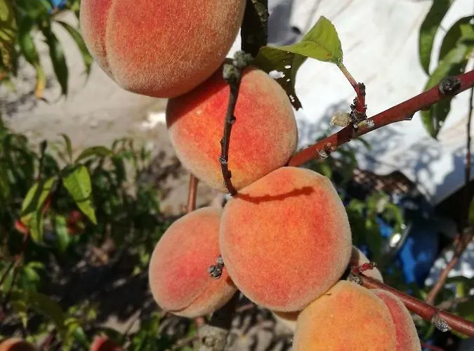 Σπίτι διακοπών Slonecznydom